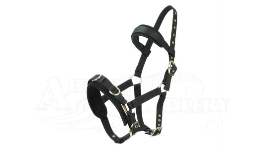 Nylon Lunge Cavesson Economy