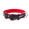 Ariat Dog Collar Navy with Red