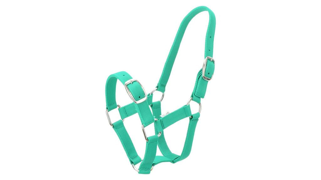 Eureka Nylon Buckle Headstall Spearmint