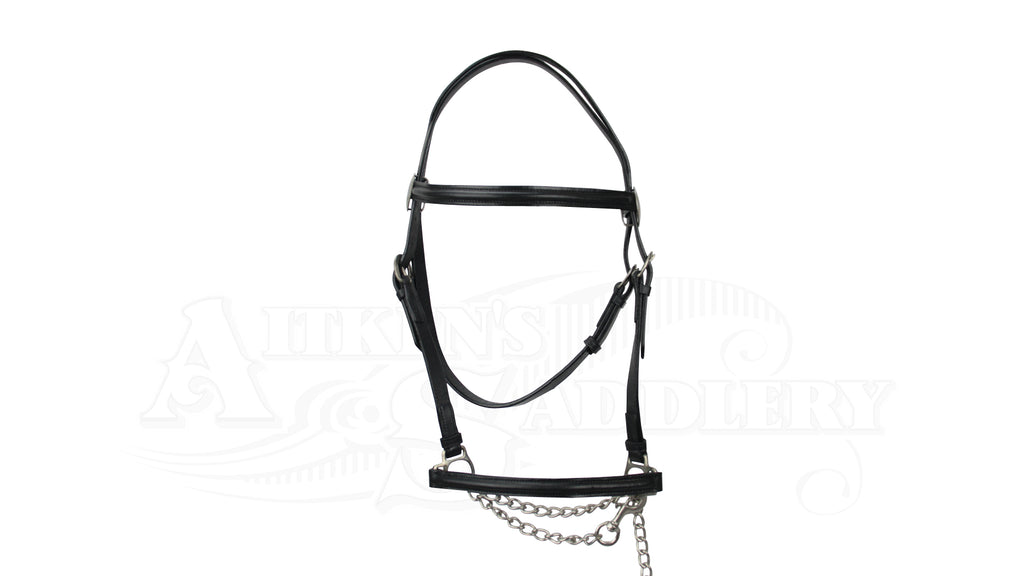 lead in bridle