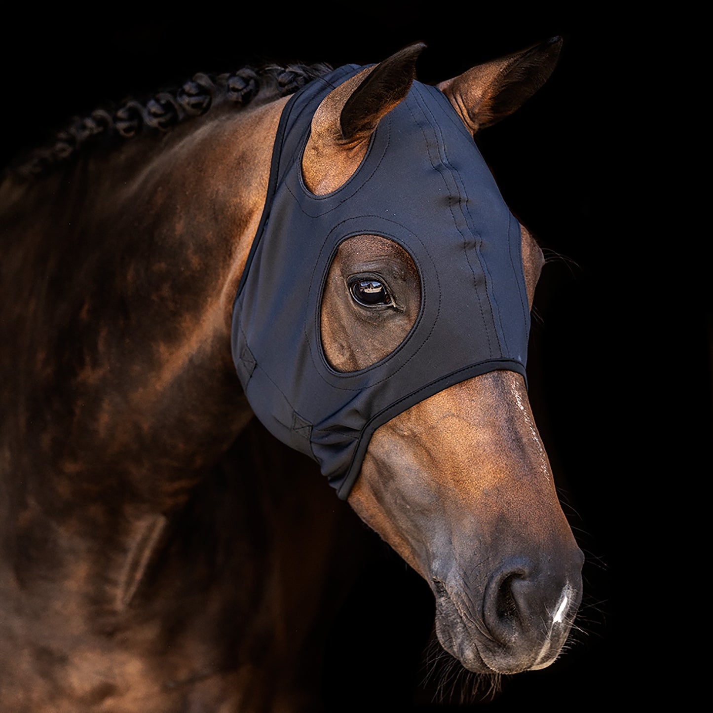 Lami-Cell Come Best Titanium Hood with No Ears