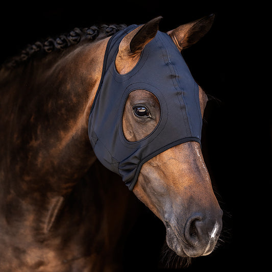 Lami-Cell Come Best Titanium Hood with No Ears