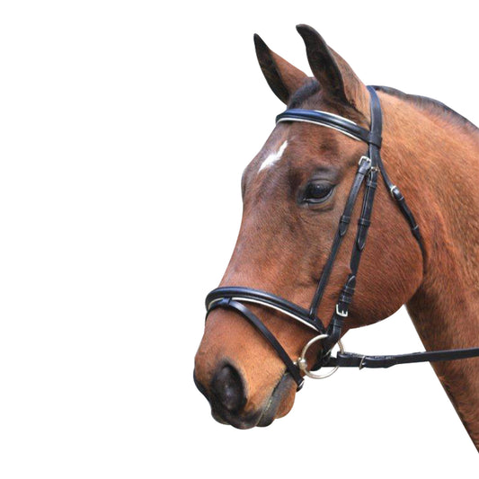 Eureka Hannovrian Bridle