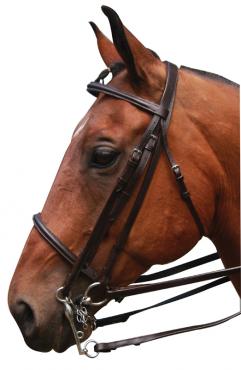 McAlister Weymouth Bridle