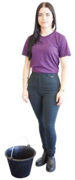 Status Pullon Ladies Jodphurs Black