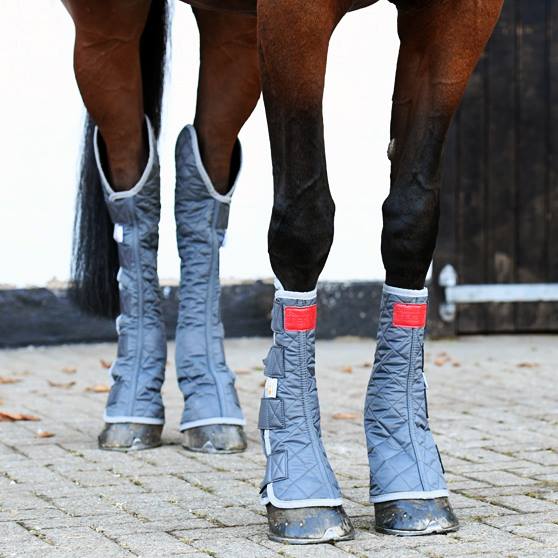 Equilibrium Magnetic Chaps Grey