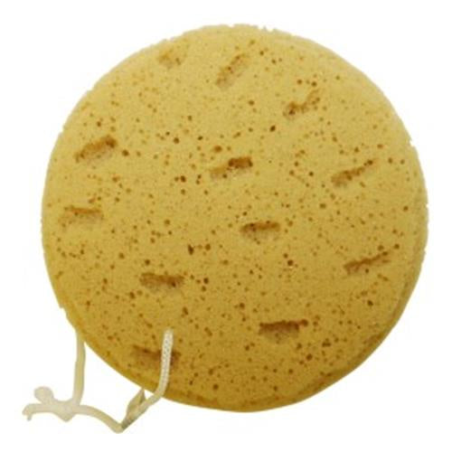Wash Sponge on a Rope