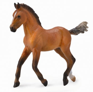 Collecta Hannovrian Bay Foal