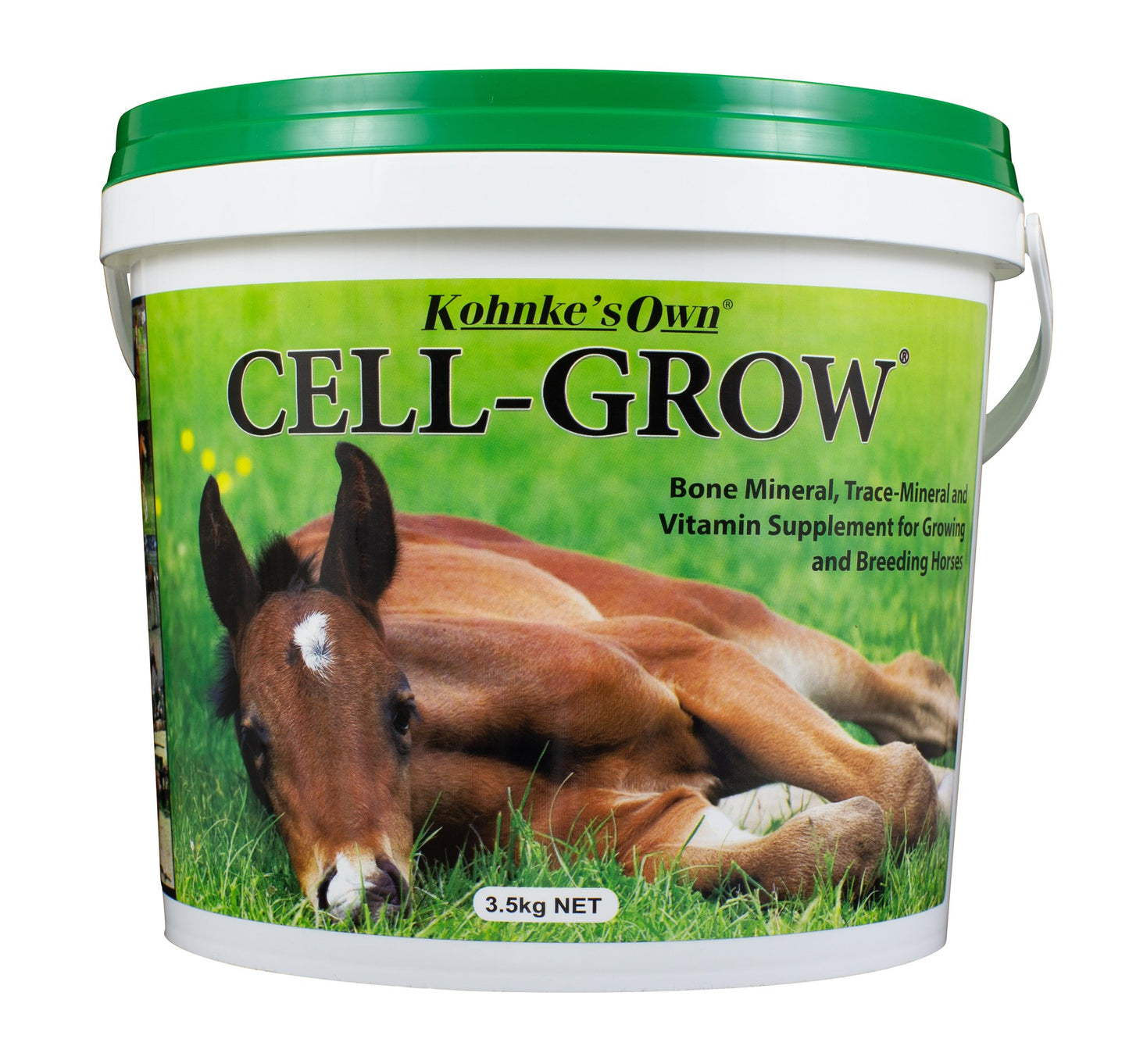 Kohnke Cell Grow