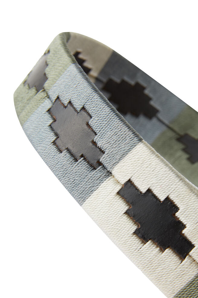 Horze Polo Dog Leash Beetle Green & Vapor Grey