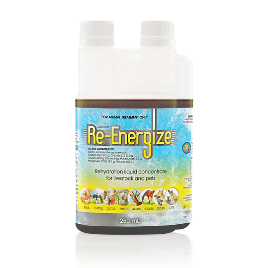 IAH Re-Energize 250ml