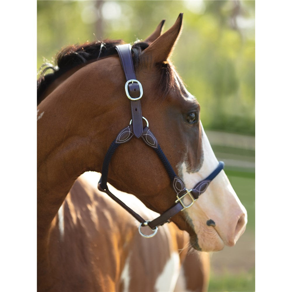 Leather & Rope Halter
