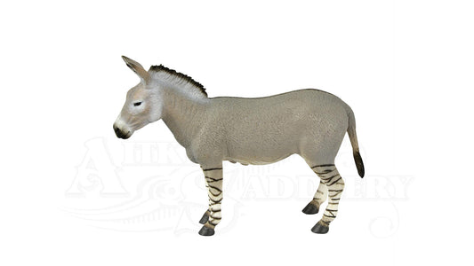 Collecta African Wild Ass - Aitken's Saddlery