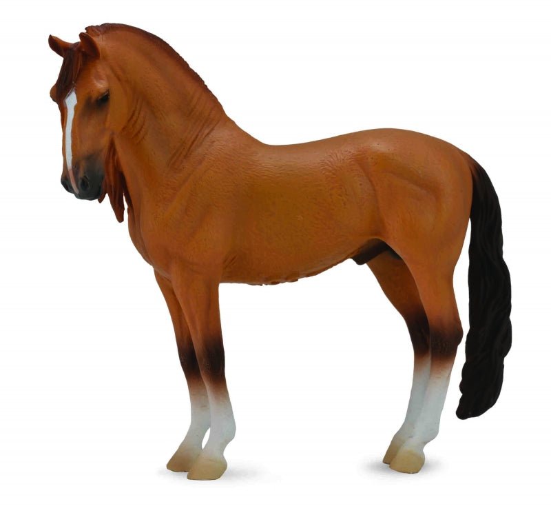 Collecta Campolina Stallion Red Dun - Aitken's Saddlery