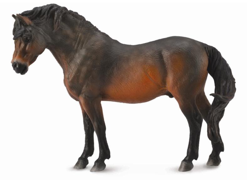 Collecta Dartmoor Pony Bay - Aitken's Saddlery