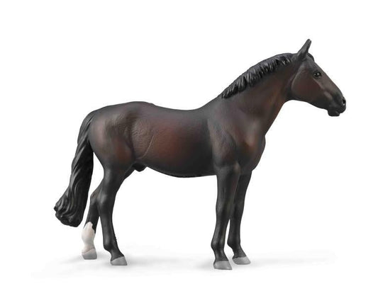 Collecta Holsteiner Stallion Bay - Aitken's Saddlery