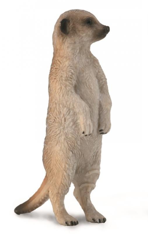 Collecta Meerkat - Aitken's Saddlery