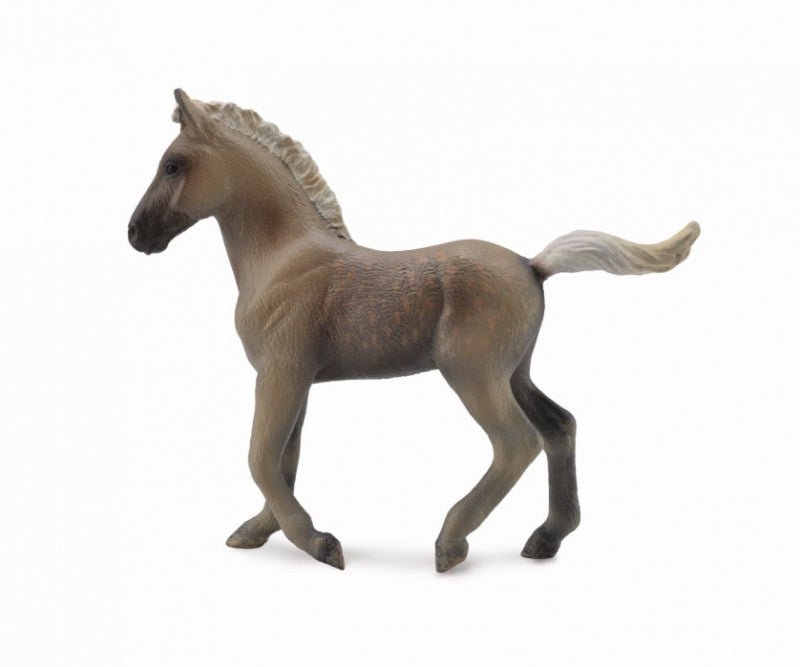 Collecta Rocky Mountain Foal Chocolate - Aitken's Saddlery