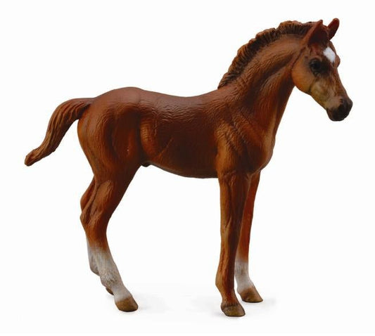 Collecta Thoroughbred Foal Standing - Aitken's Saddlery