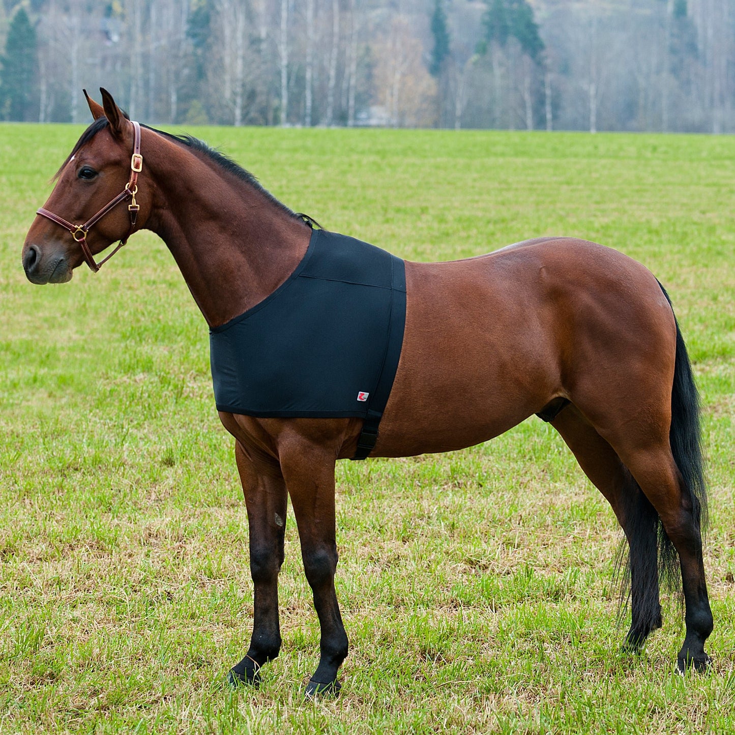 Comforce Shoulder Bib - Aitken's Saddlery