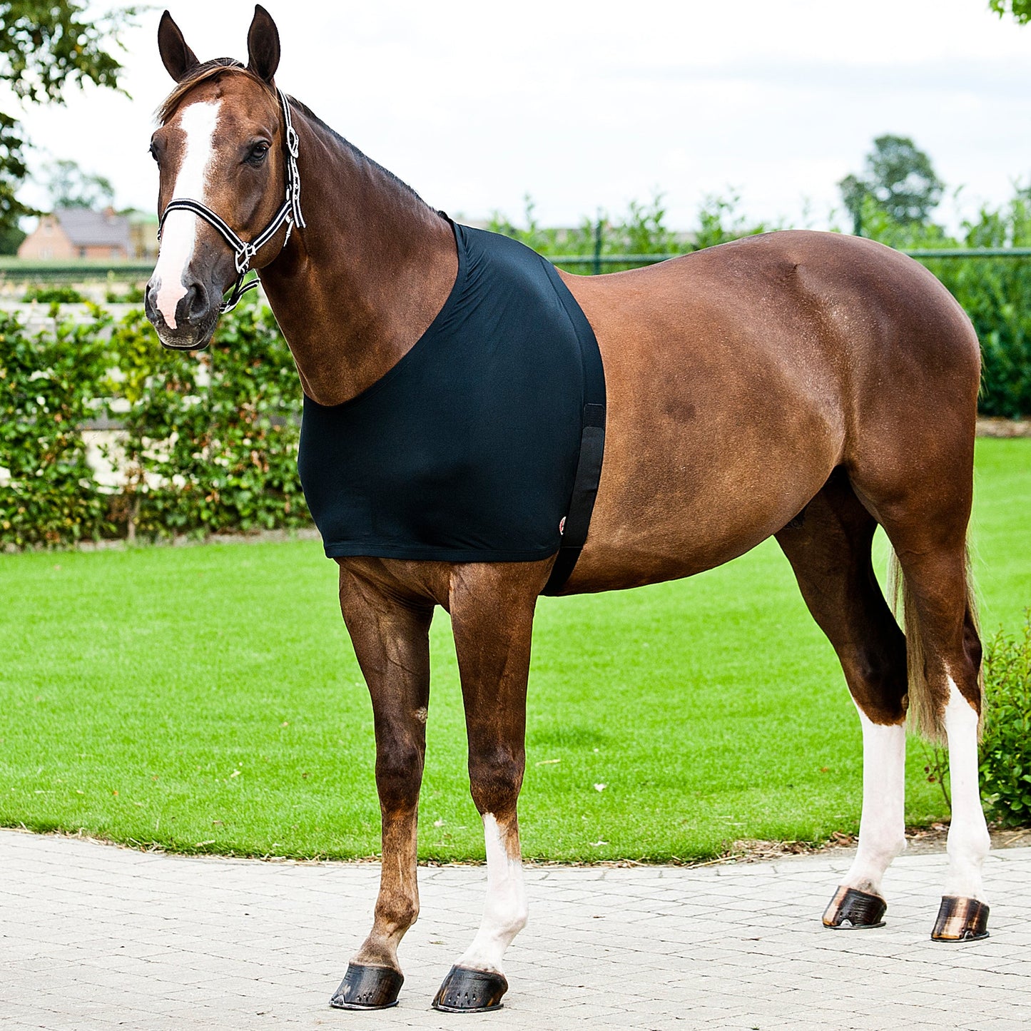 Comforce Shoulder Bib - Aitken's Saddlery