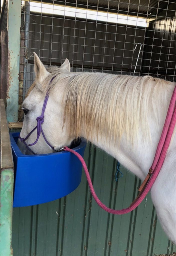 Corner Feeder 45 Litre Blue - Aitken's Saddlery