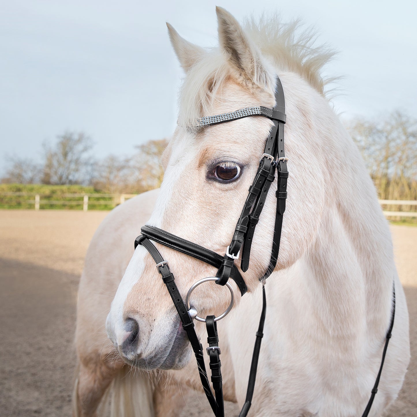 Horze Pony Bridle Black & Blue