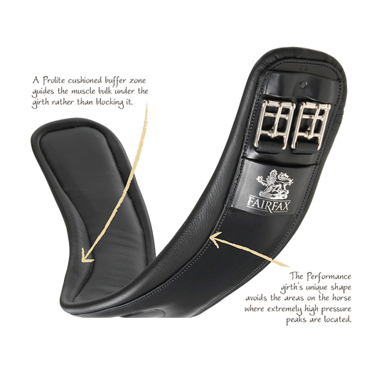 Fairfax Standard Gauge Performance Girth