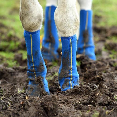 Equi Chaps Close Contact with Yellow Stripe - Aitken's Saddlery