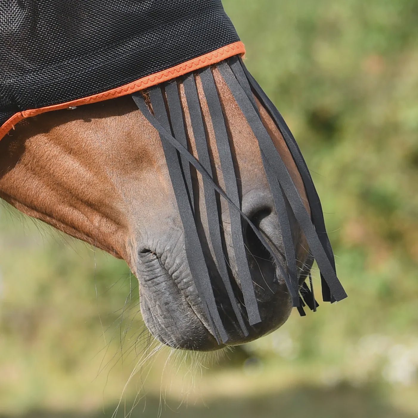 Equilibrium Field Relief Muzzle Fringe One Size Black - Aitken's Saddlery