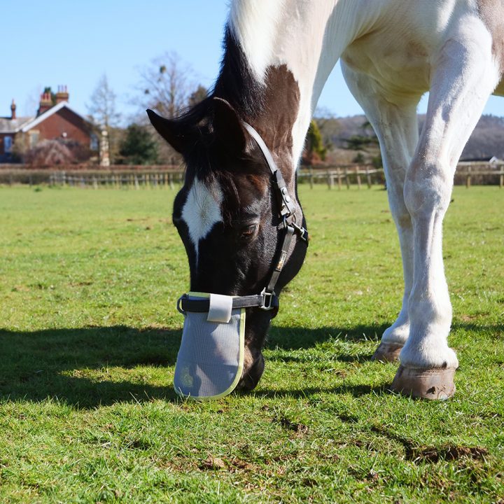 Equilibrium Field Relief Muzzle Protector - Aitken's Saddlery