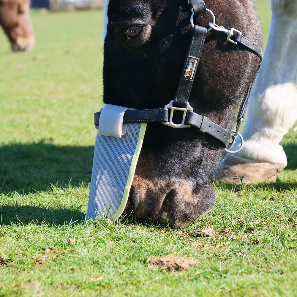 Equilibrium Field Relief Muzzle Protector - Aitken's Saddlery