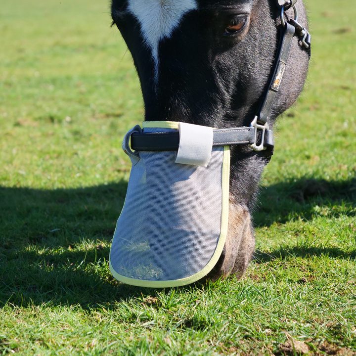 Equilibrium Field Relief Muzzle Protector - Aitken's Saddlery