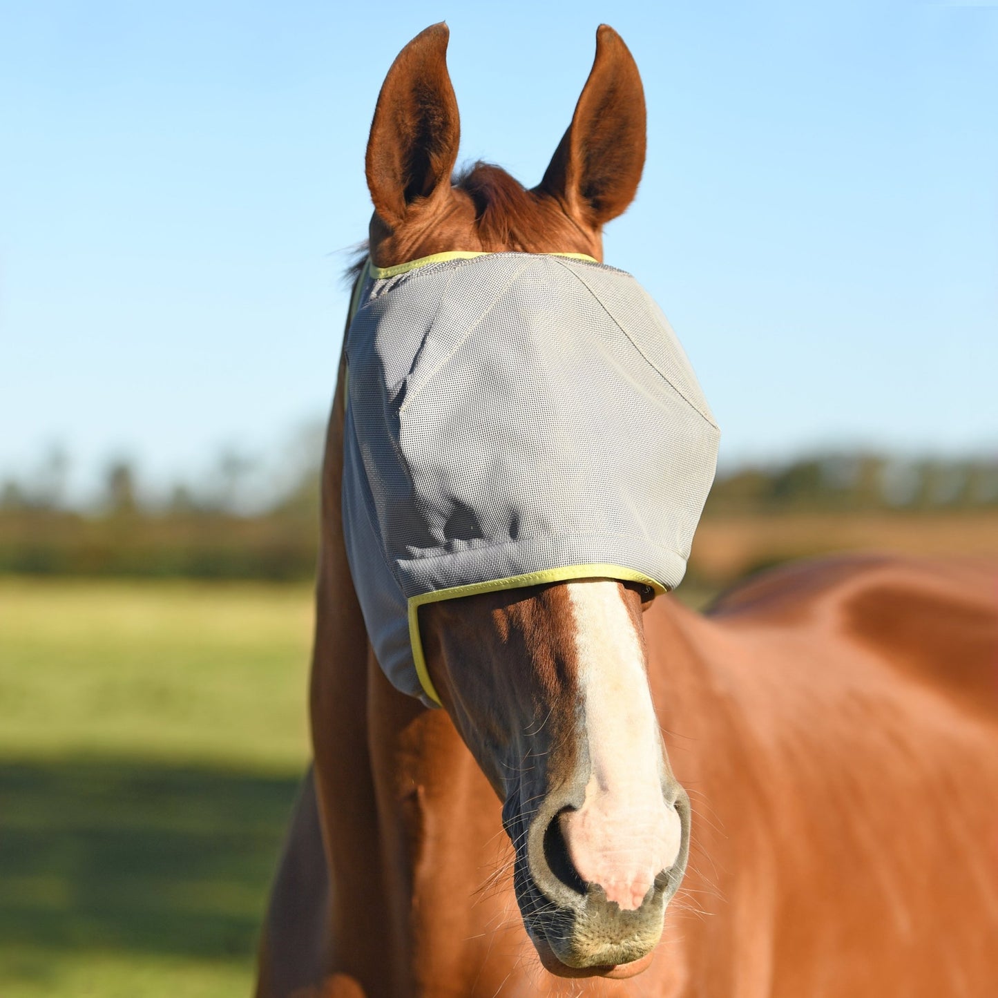 Equilibrium Fly Mask Midi No Ears Grey - Aitken's Saddlery