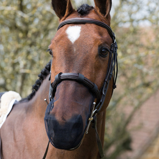 Equilibrium Net Relief Muzzle Net Black - Aitken's Saddlery