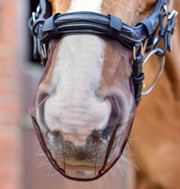 Equilibrium Net Relief Muzzle Net for Antomical Bridles - Aitken's Saddlery