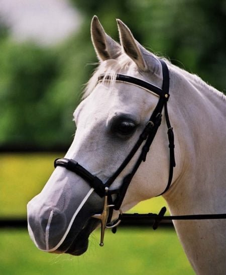 Equilibrium Net Relief Muzzle Net White - Aitken's Saddlery