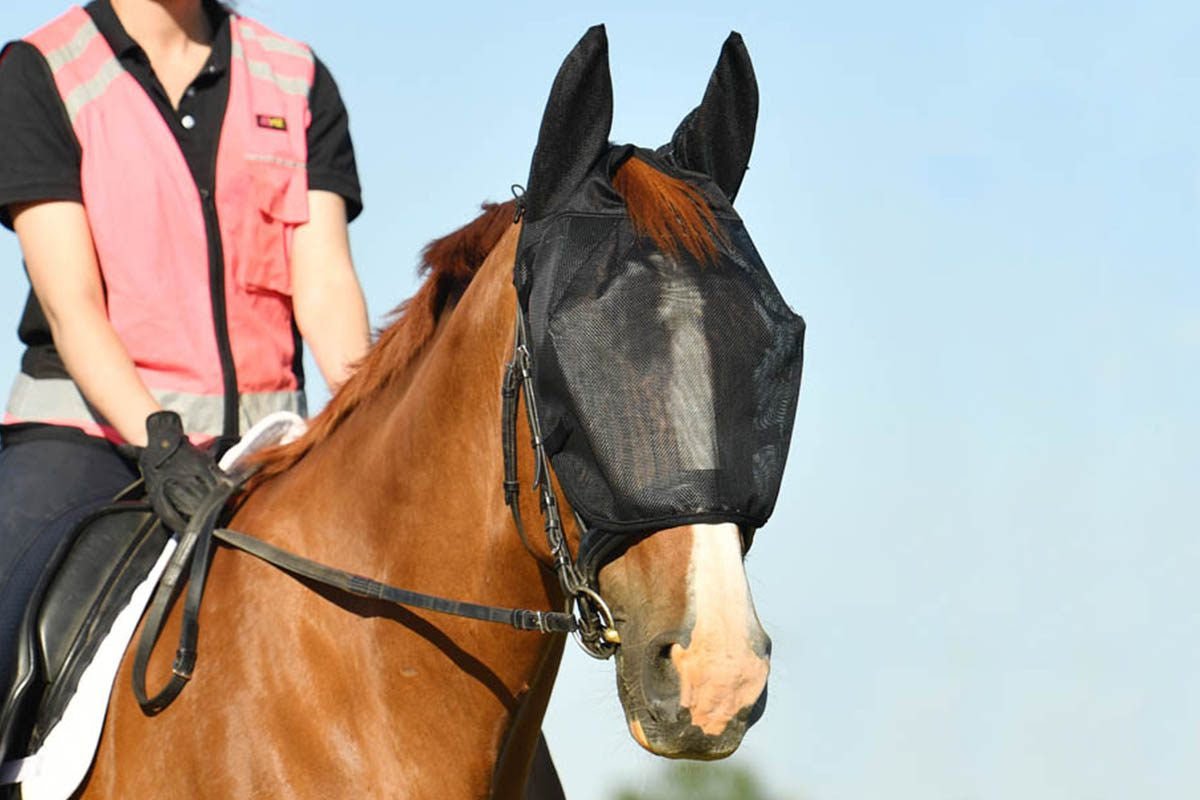 Equilibrium Net Relief Riding Mask - Aitken's Saddlery