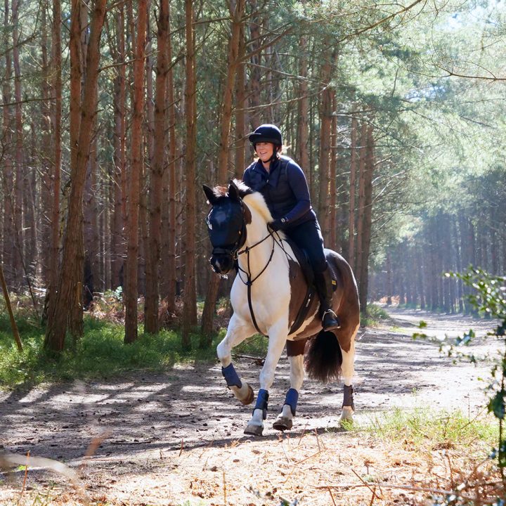 Equilibrium Net Relief Riding Mask - Aitken's Saddlery