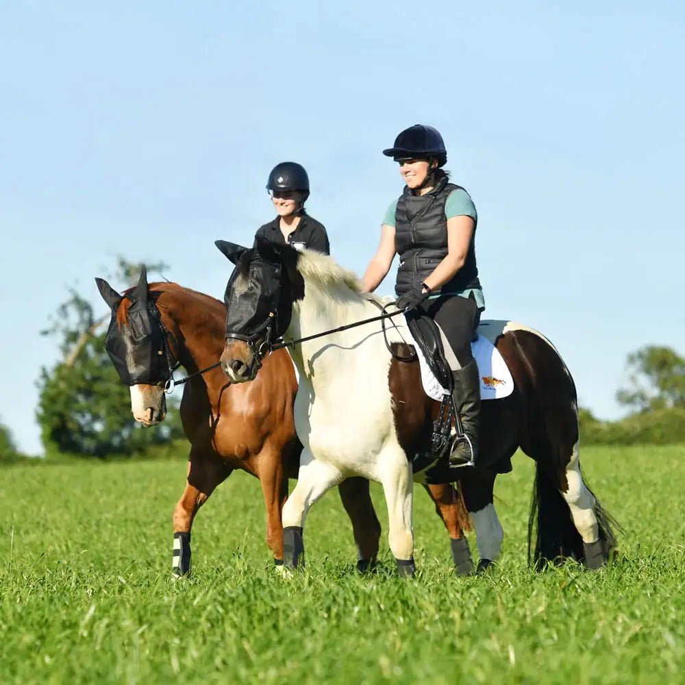Equilibrium Net Relief Riding Mask - Aitken's Saddlery