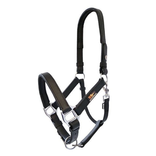 Equilibrium Stellar Headcollar Old Style - Aitken's Saddlery