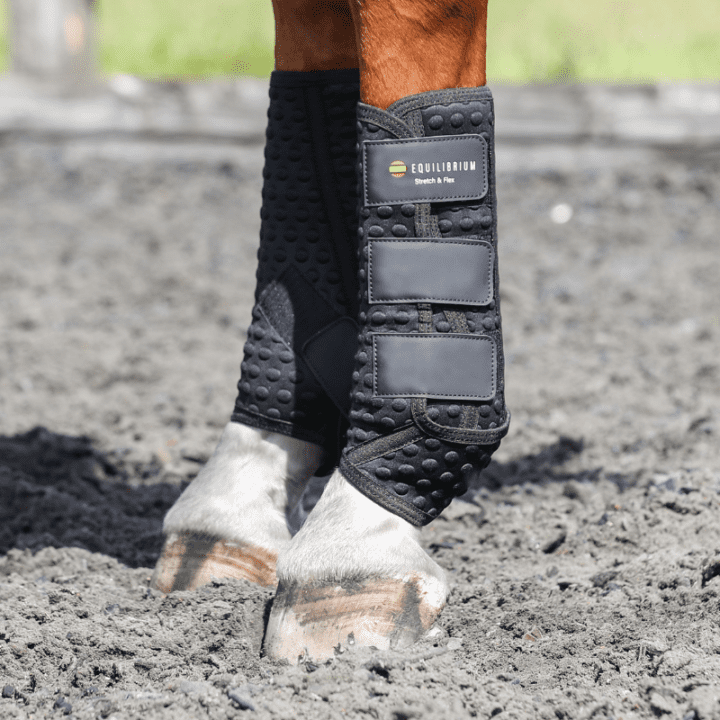Equilibrium Stretch & Flex New Training Boots Black - Aitken's Saddlery