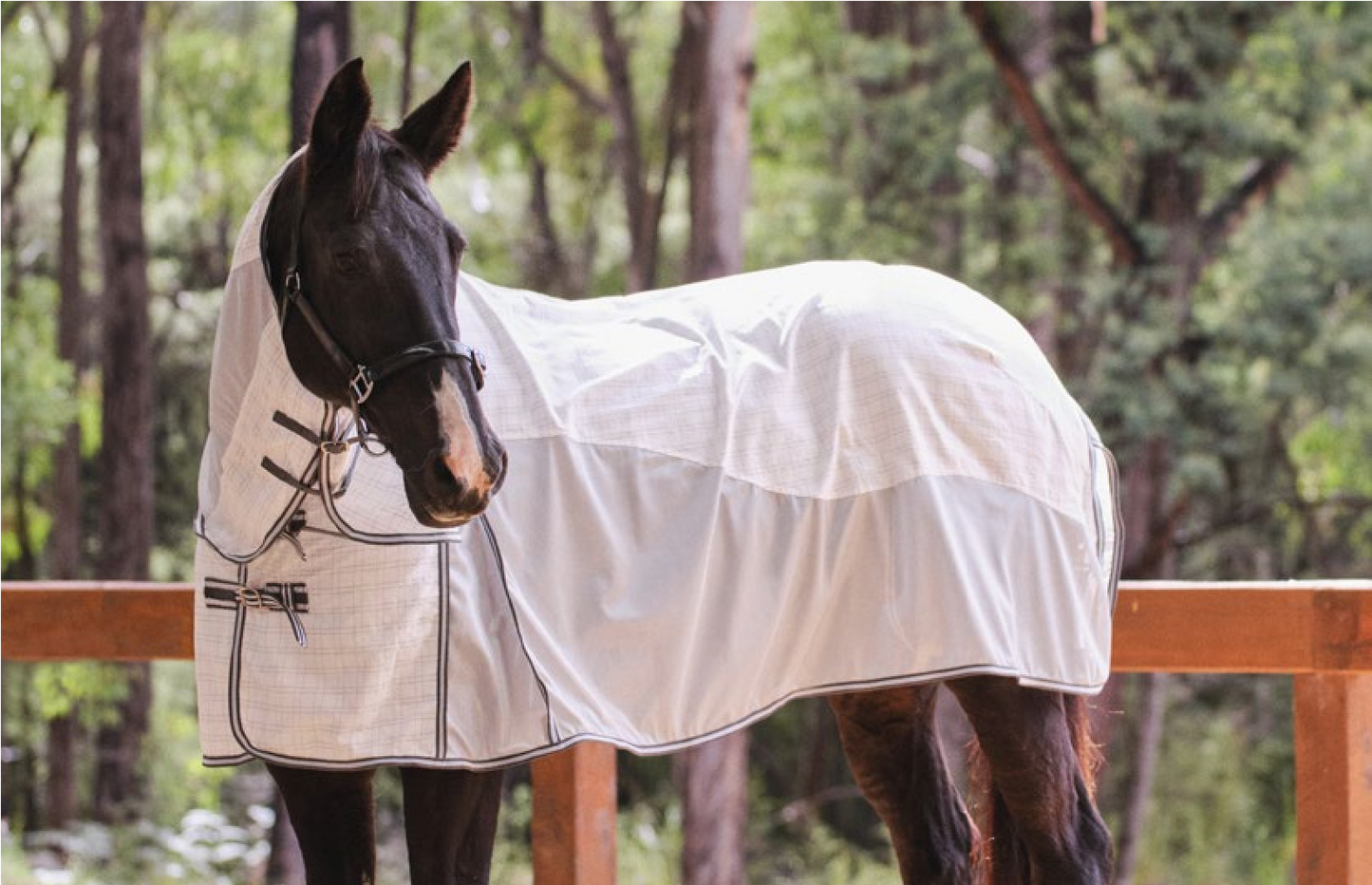Eureka Hybrid Mesh Combo White - Aitken's Saddlery