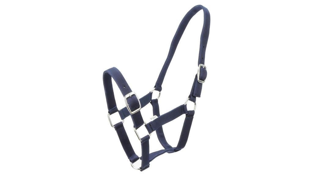 Eureka Nylon Buckle Headstall Navy Blue - Aitken's Saddlery