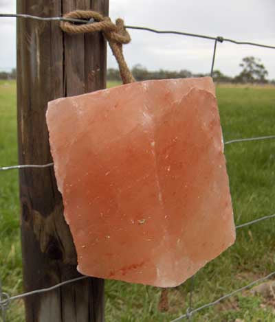 Minrosa Salt Block with Hole 6 Kg