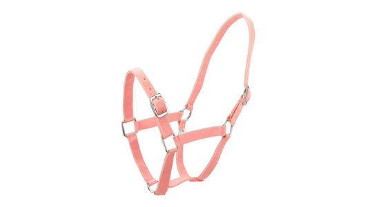 Eureka Nylon Buckle Headstall Pink