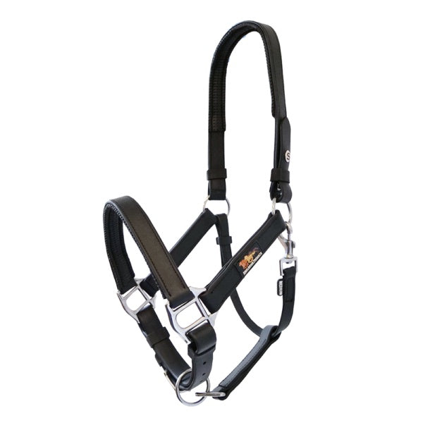 Equilibrium Stellar Headcollar Old Style