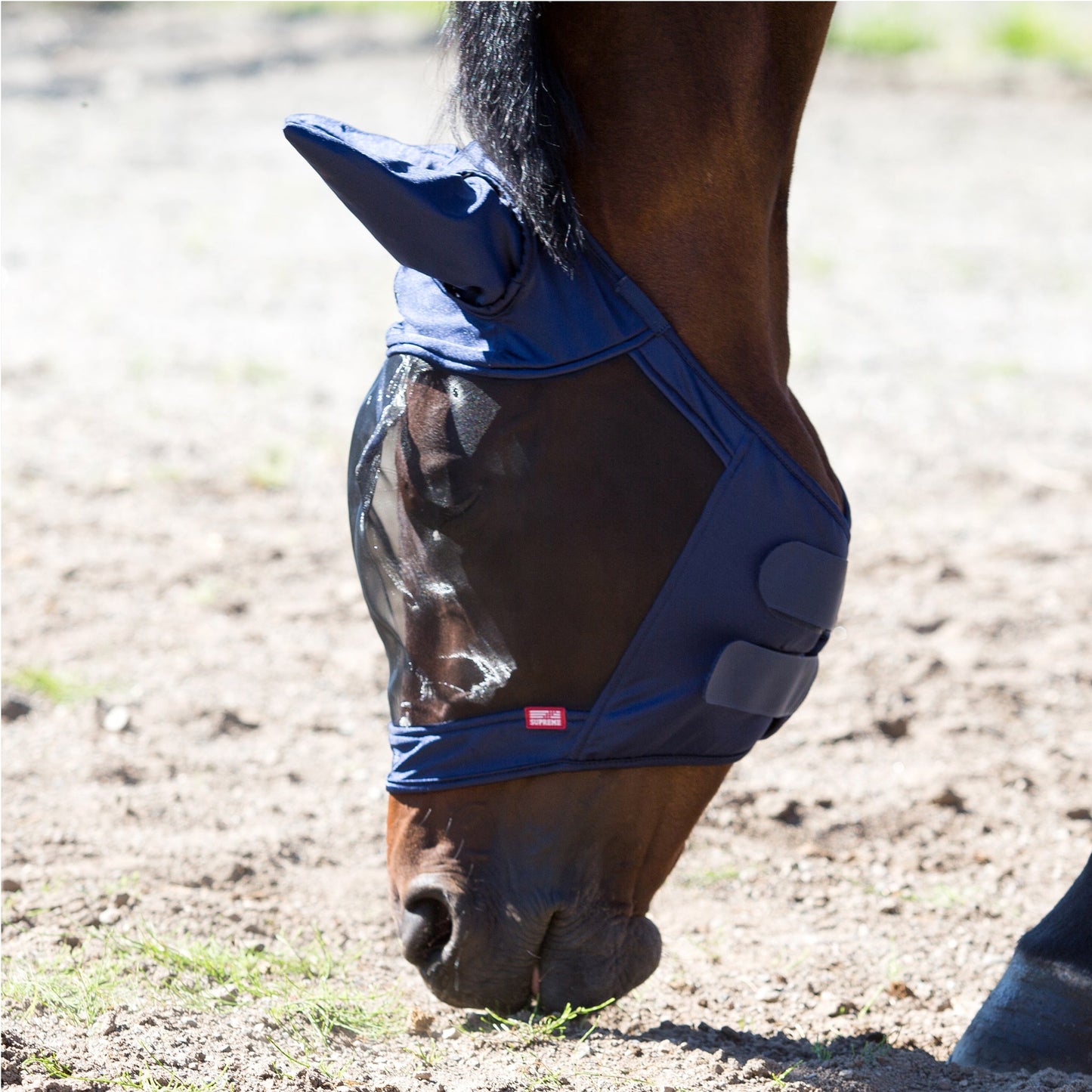 Horze Cayman Fly Mask Navy - Aitken's Saddlery