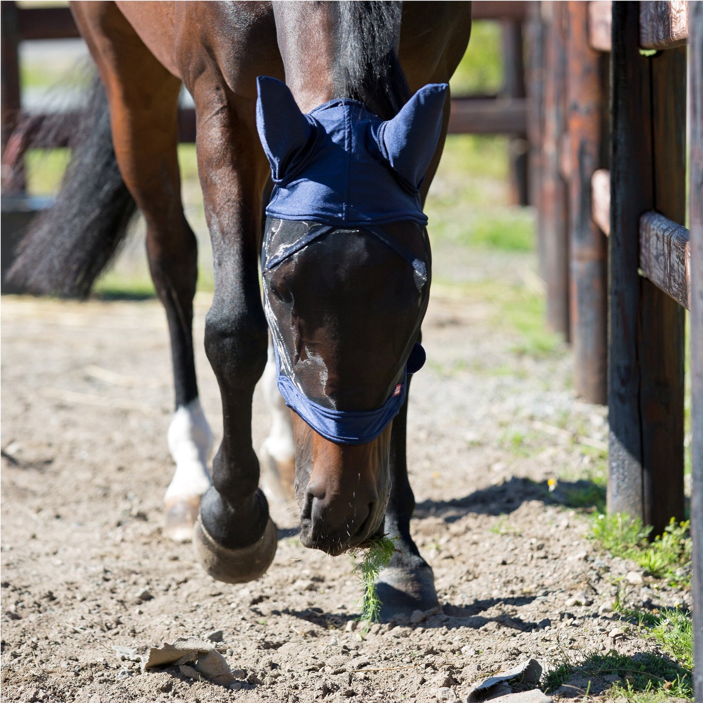 Horze Cayman Fly Mask Navy - Aitken's Saddlery