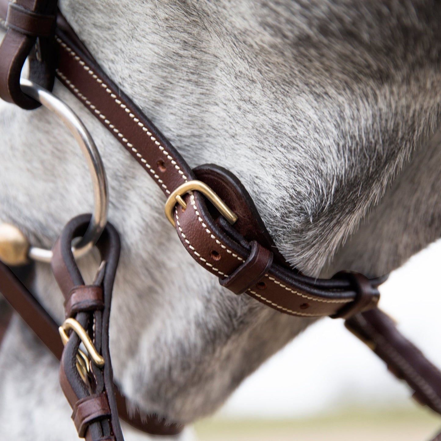 Horze Constance Hannovrian Bridle Brown - Aitken's Saddlery